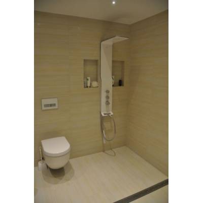 Душевая панель HANSGROHE Raindance Lift 27008400. Фото